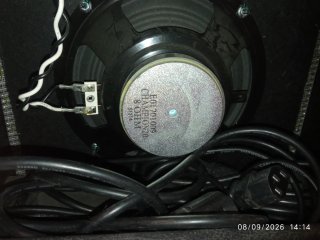 Amplificador Fender Champion 20