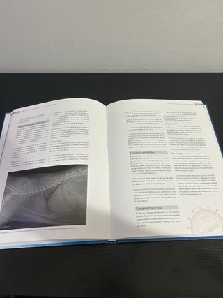 Enfermedades infecciosas felinas manual práctico