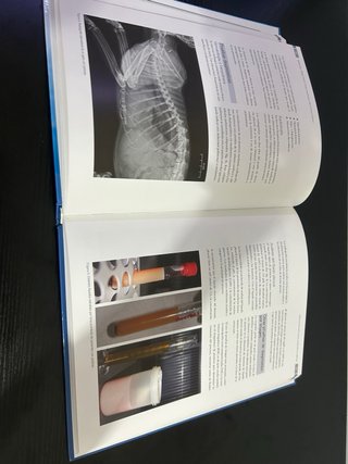 Enfermedades infecciosas felinas manual práctico