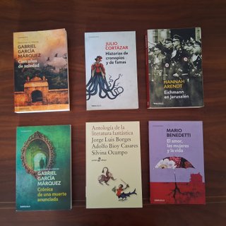 Lote de libros literatura