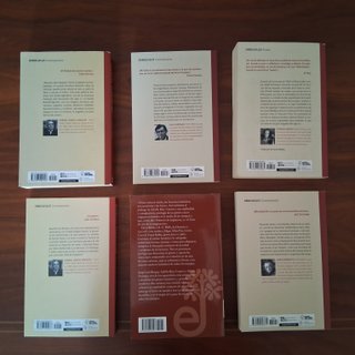 Lote de libros literatura