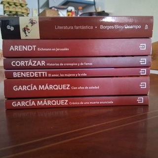 Lote de libros literatura
