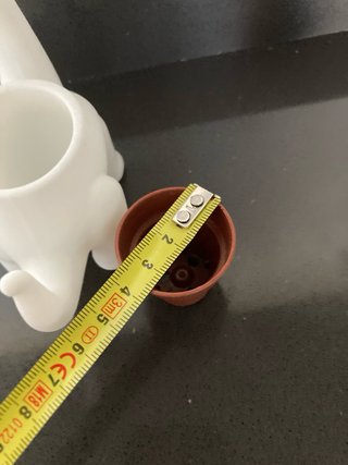 Vaso Dinosauro Brontosauro 3D (pianta non inclusa)