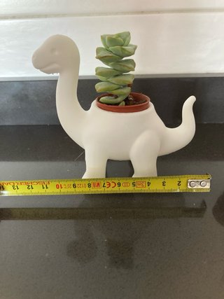 Vaso Dinosauro Brontosauro 3D (pianta non inclusa)