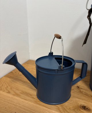 Cubo y regadera Ikea