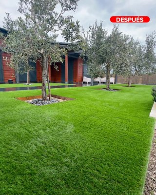 Servicio de jardinería y mantenimiento