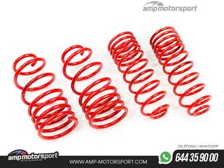 MUELLES DEPORTIVOS MTS TECHNIK MTSXVW099