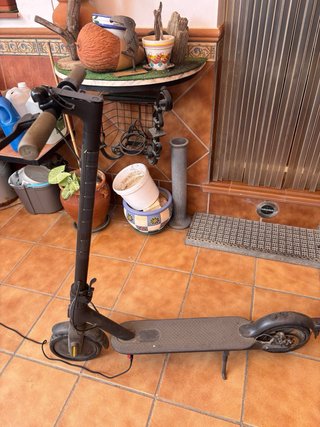 Patinete Eléctrico Xiaomi