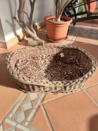 Cama Mimbre Perro/Gato + Cojín Leopardo