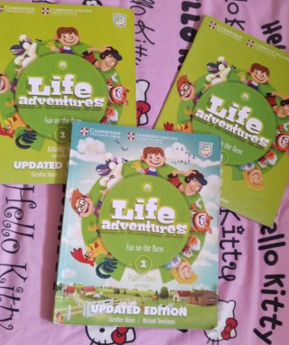 libros de academia de inglés.tengo de otros curso