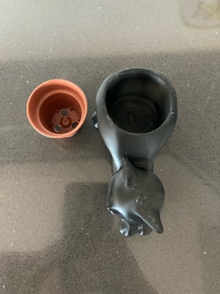 Vaso decorativo Gatto Nero 3D(pianta in inclusa)
