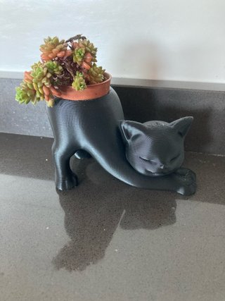 Vaso decorativo Gatto Nero 3D(pianta in inclusa)