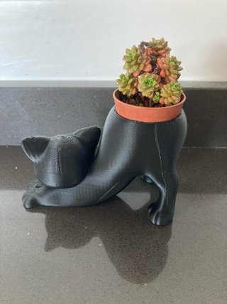 Vaso decorativo Gatto Nero 3D(pianta in inclusa)