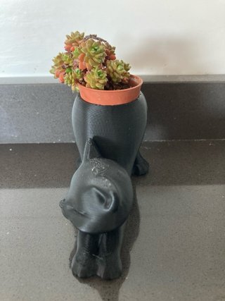 Vaso decorativo Gatto Nero 3D(pianta in inclusa)