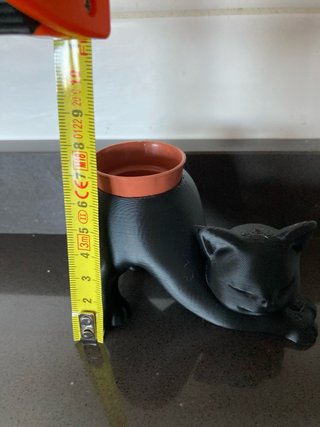 Vaso decorativo Gatto Nero 3D(pianta in inclusa)