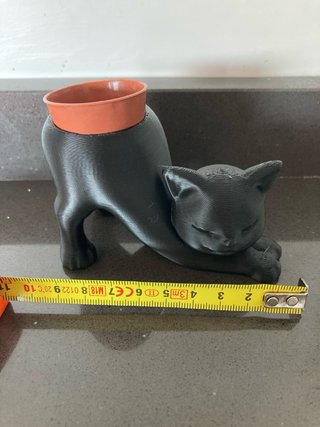 Vaso decorativo Gatto Nero 3D(pianta in inclusa)