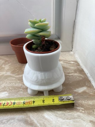 Vaso decorativo Tartaruga 3D (pianta non inclusa)