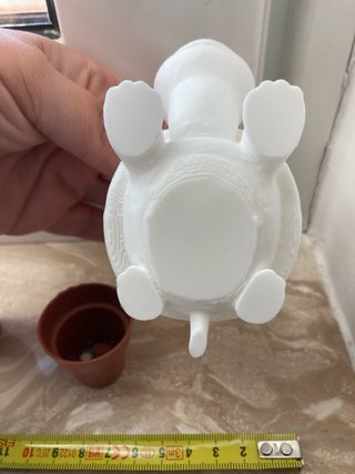 Vaso decorativo Tartaruga 3D (pianta non inclusa)