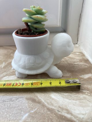 Vaso decorativo Tartaruga 3D (pianta non inclusa)