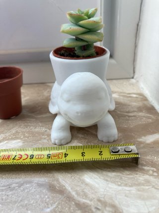 Vaso decorativo Tartaruga 3D (pianta non inclusa)