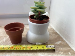Vaso decorativo coniglio bianco 3D (no piante)