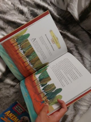 El libro de los sentimientos para niños
