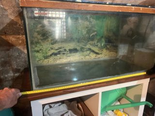 Acquario in vetro
