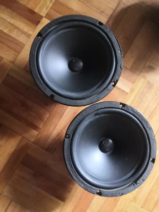 Medios Beyma PL650