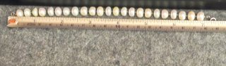 Pulsera de Perlas