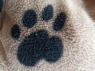 Cama para mascotas suave y cómoda. Diámetro: 75cm