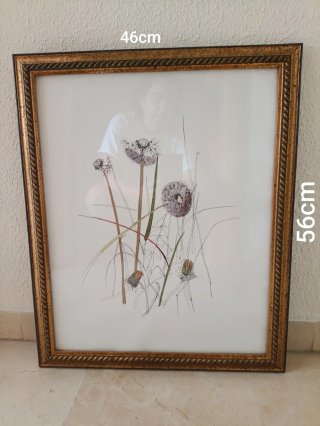 Cuadro Diente de León 46x56cm