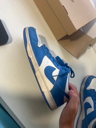 Nike Dunk Azul y Blanco