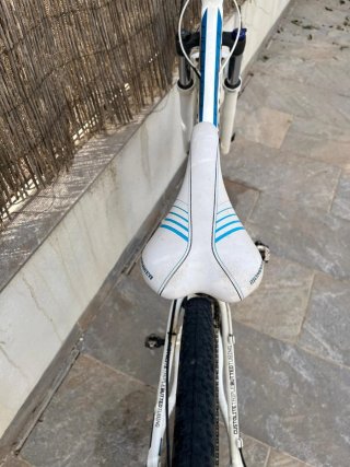 Mondraker Leader