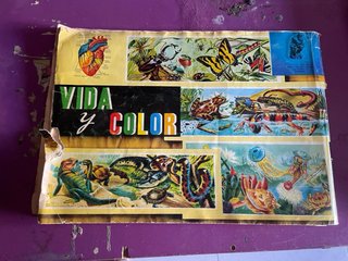 Álbum Coleccionista Vida y Color Antiguo