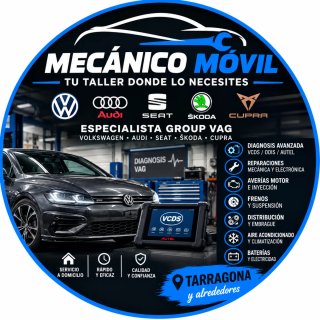 Servicio de mecánico auto