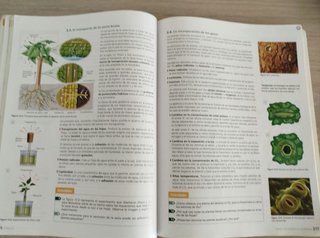 Inicia dual Biología y geología 1 Bachillerato