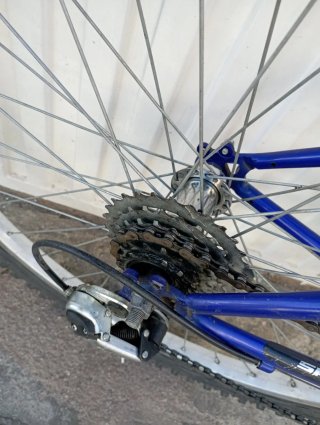 Bicicleta Globe Trotter 26