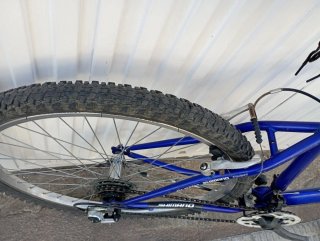 Bicicleta Globe Trotter 26
