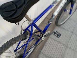 Bicicleta Globe Trotter 26