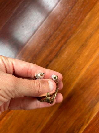 Pendientes Parfois dorados con piedra verde