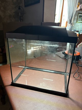 Acquario Superfish 25 litri