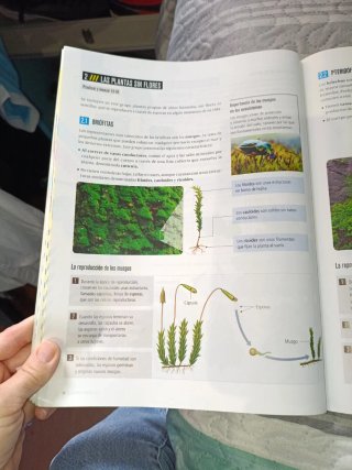 Biología Y Geología 1 Secundaria