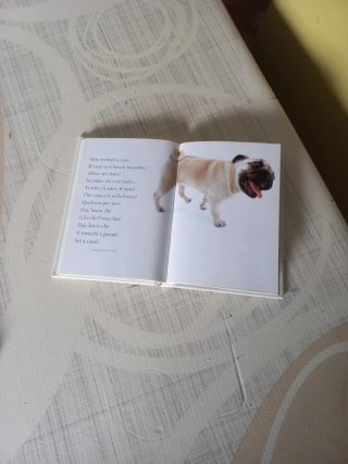 Cani / Adorabile cani