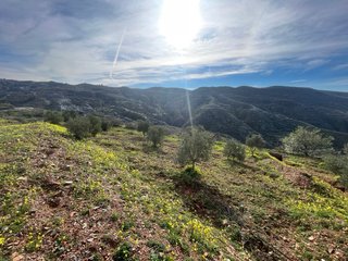 Terreno en Félix