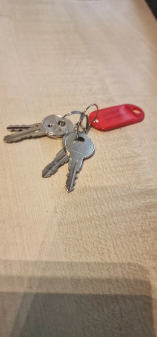 Barras techo Jaguar E-Pace + Portaesquís