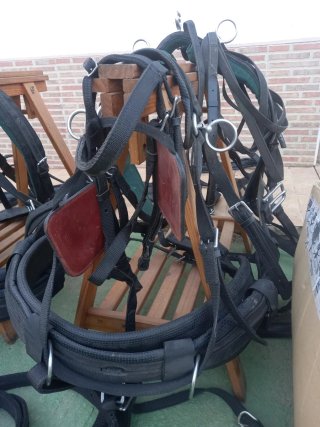 Arnes de tronco para caballo