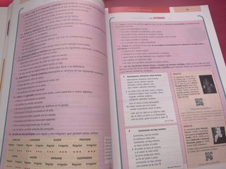 Lengua castellana y Literatura I 1º Bachillerato