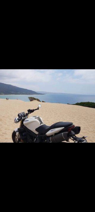 Triumph Speed Triple 2007 600cc 100cv
