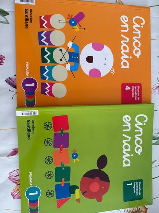 CINCO EN RAIA 1 PRIMARIA
