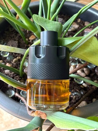 Perfume Azzaro The Most Wanted